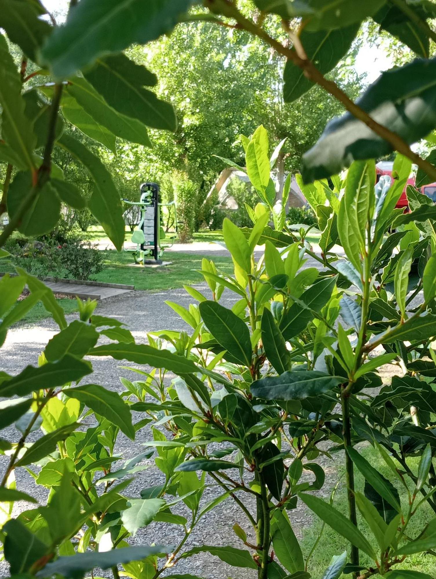 Camping Les Mancellieres Avrille  Bagian luar foto