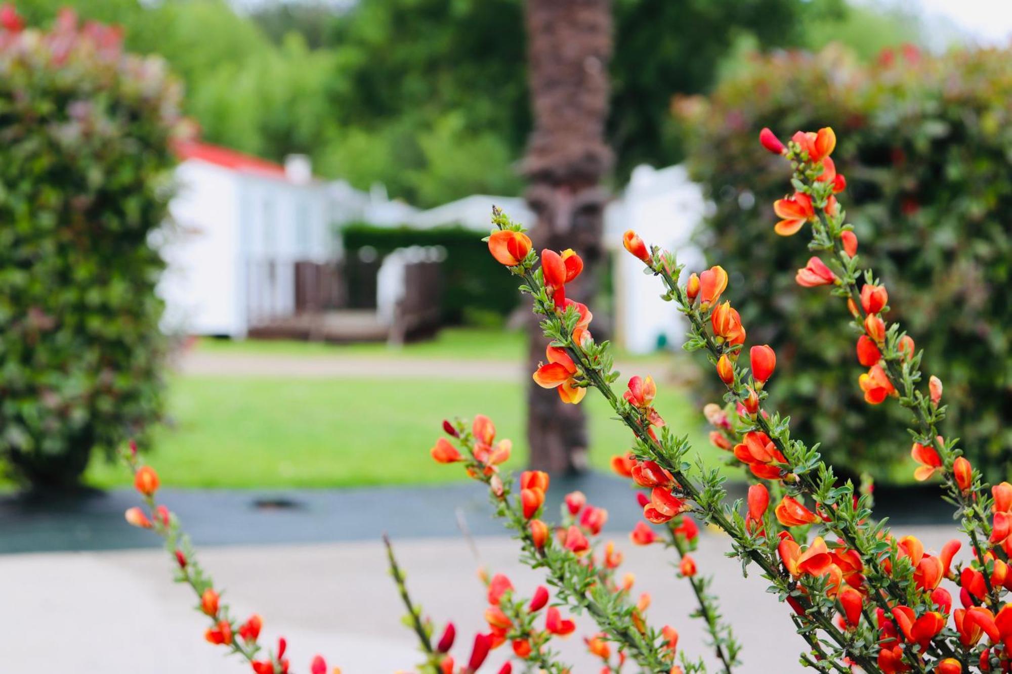 Camping Les Mancellieres Avrille  Bagian luar foto