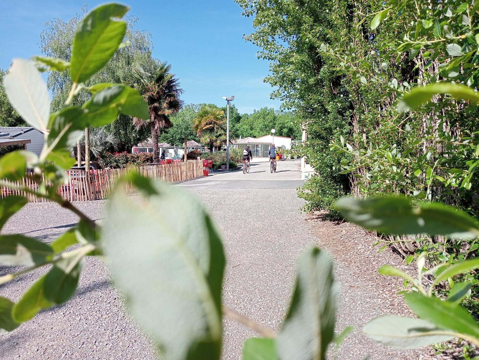 Camping Les Mancellieres Avrille  Bagian luar foto